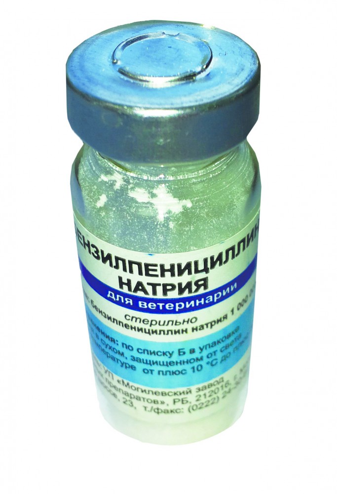 Пенициллин G натриевая соль (PENICILLIN G SODIUM SANDOZ) инструкция по применению